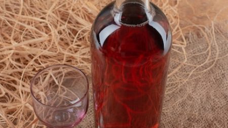 De la vigne à la bouteille : comment le terroir du bas armagnac façonne l’eau-de-vie ?